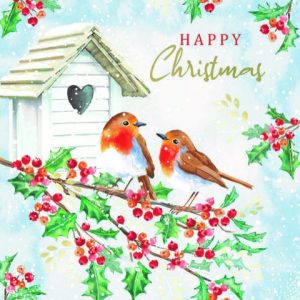 Robins Home for Christmas